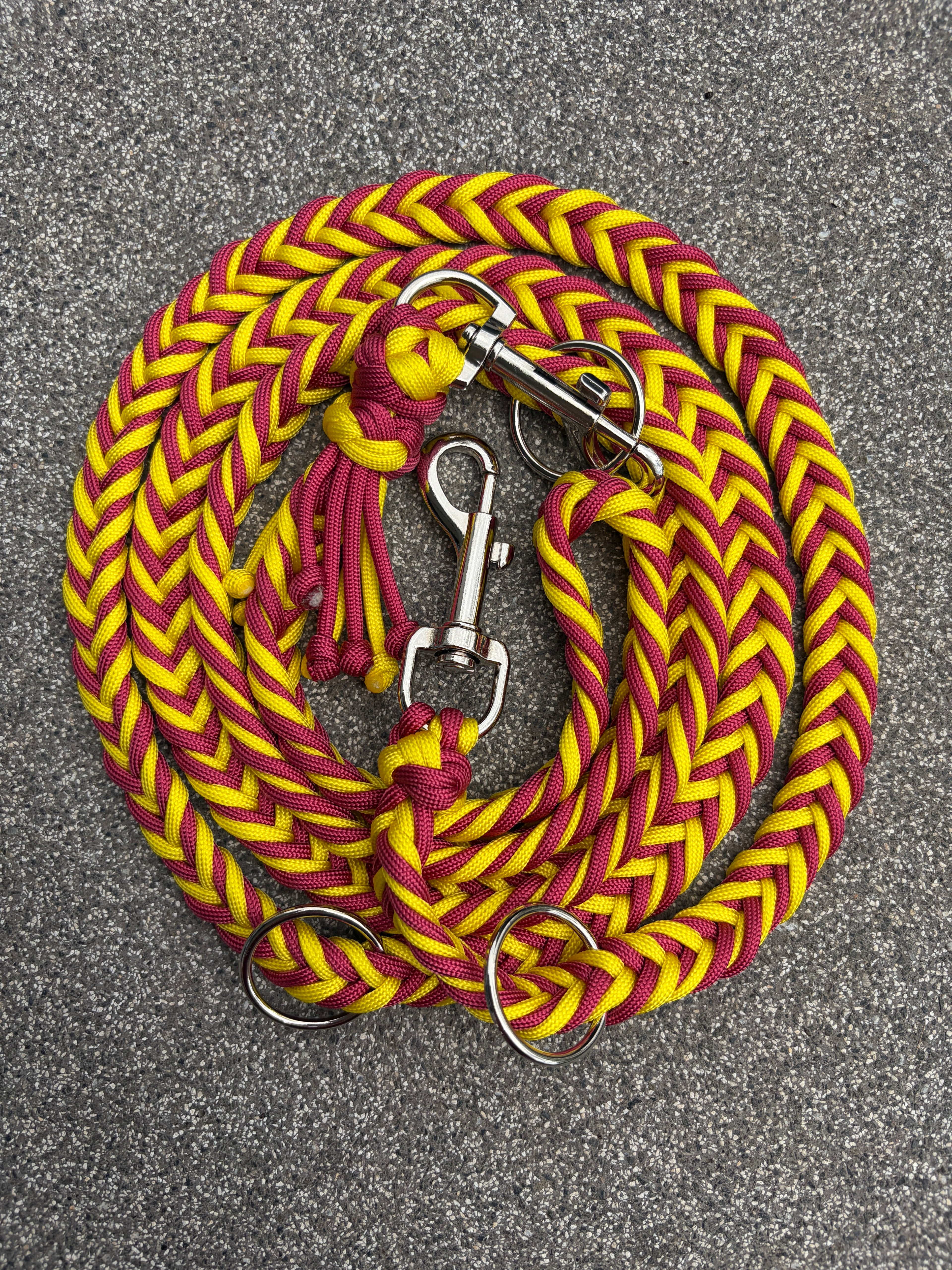 Paracord Leine - Aslan