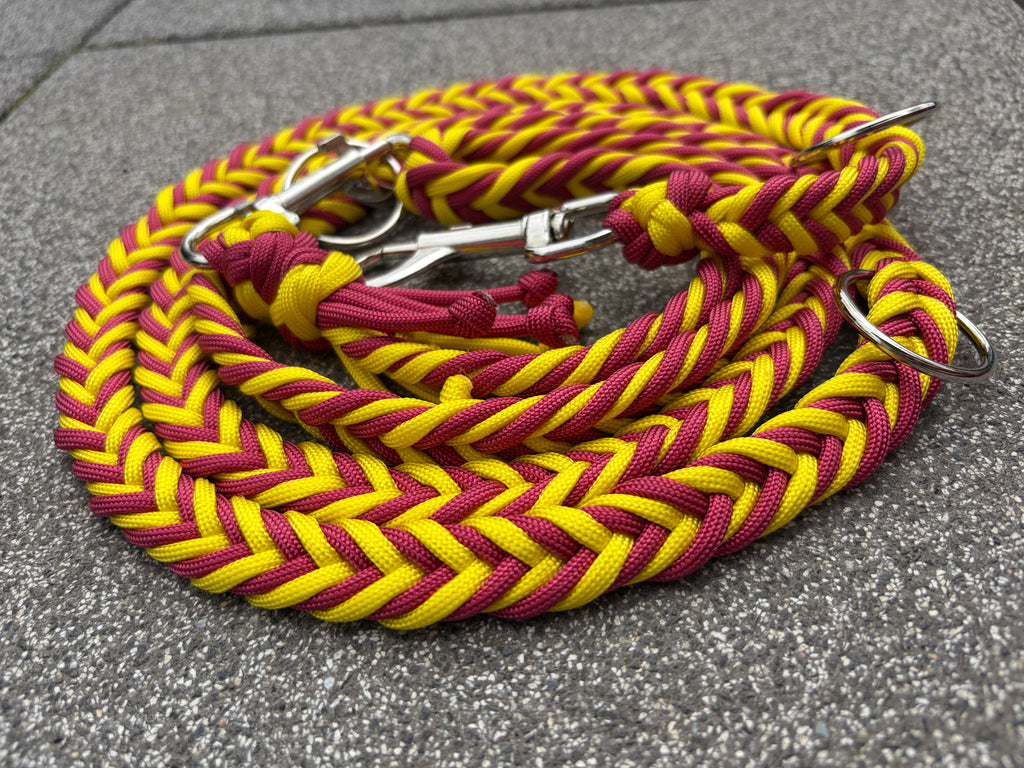 Paracord Leine - Aslan