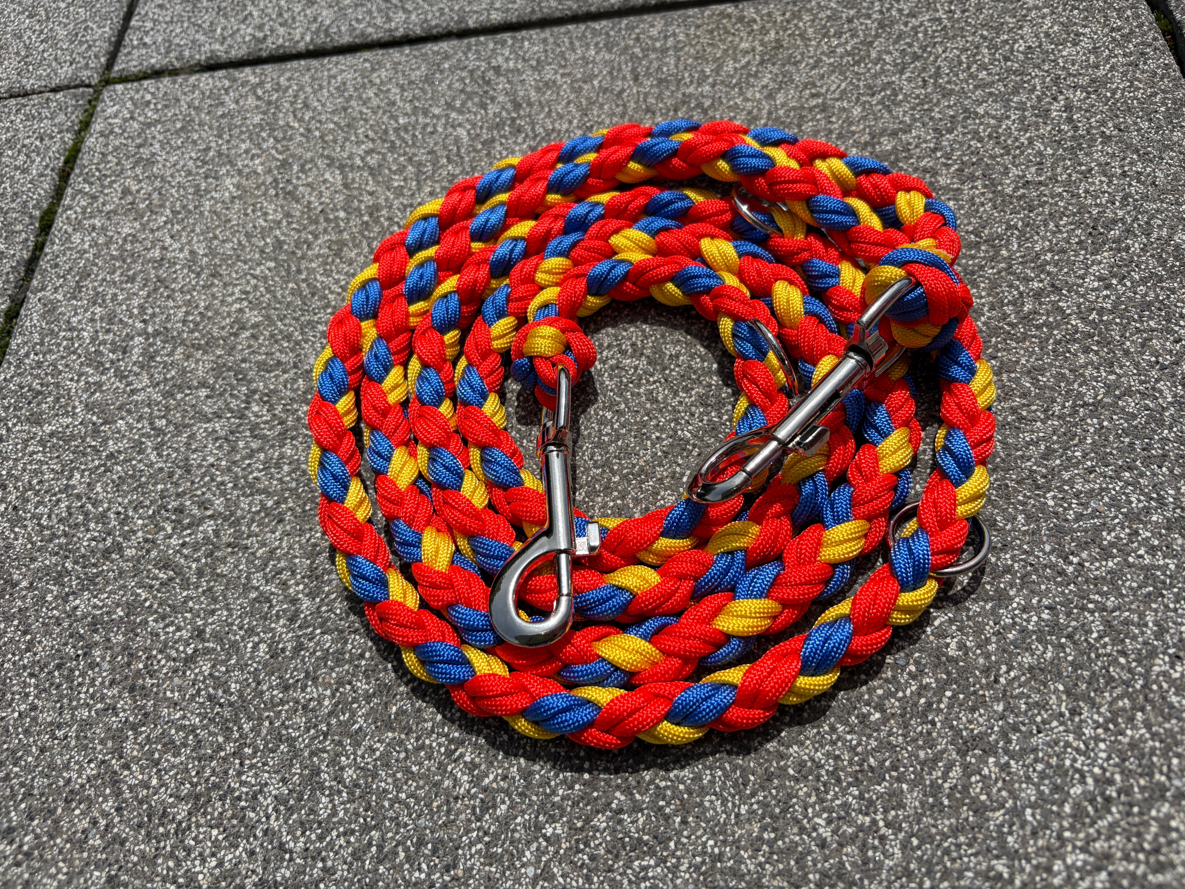 Paracord Leine - Millennium Mix
