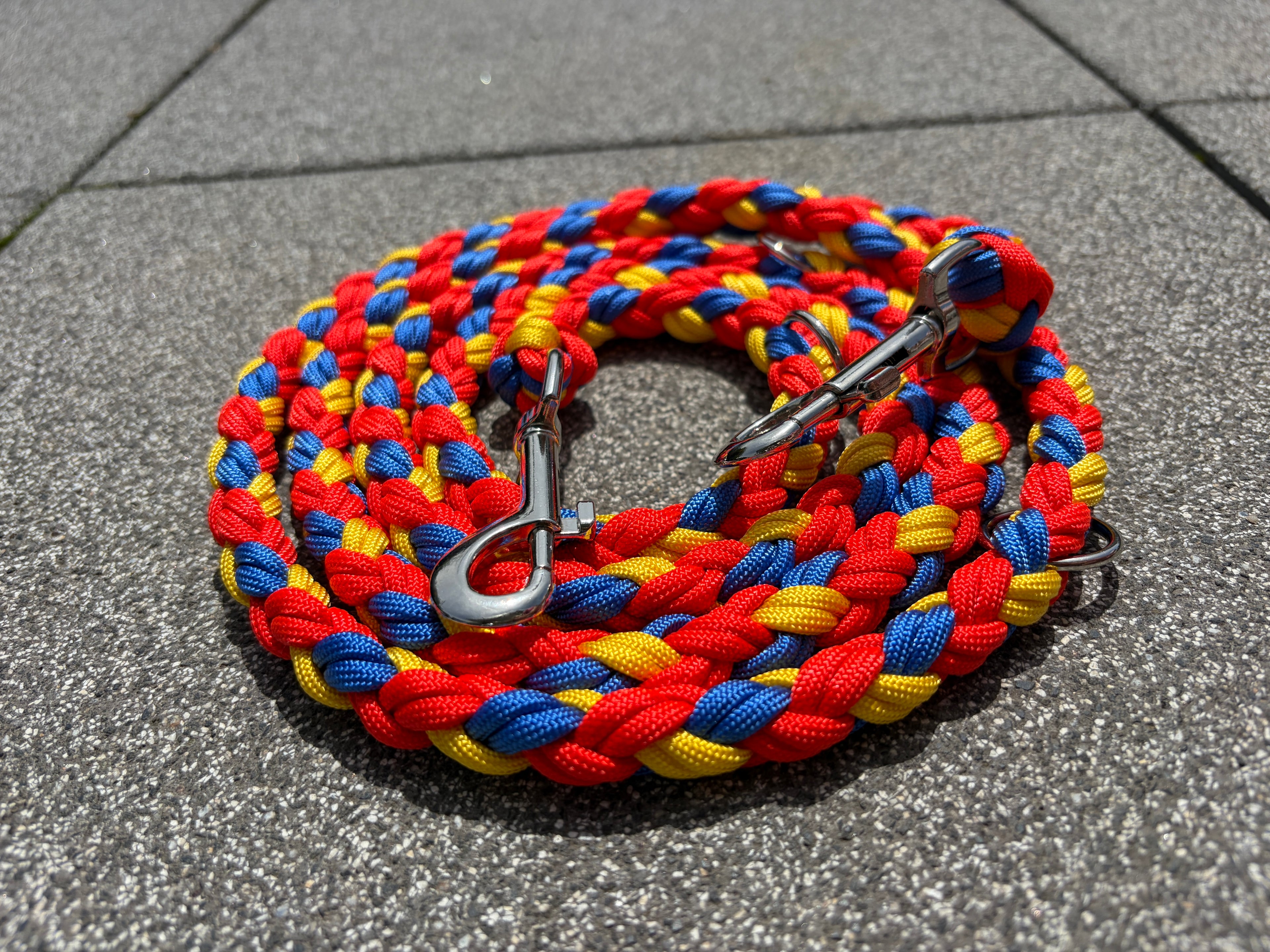 Paracord Leine - Millennium Mix