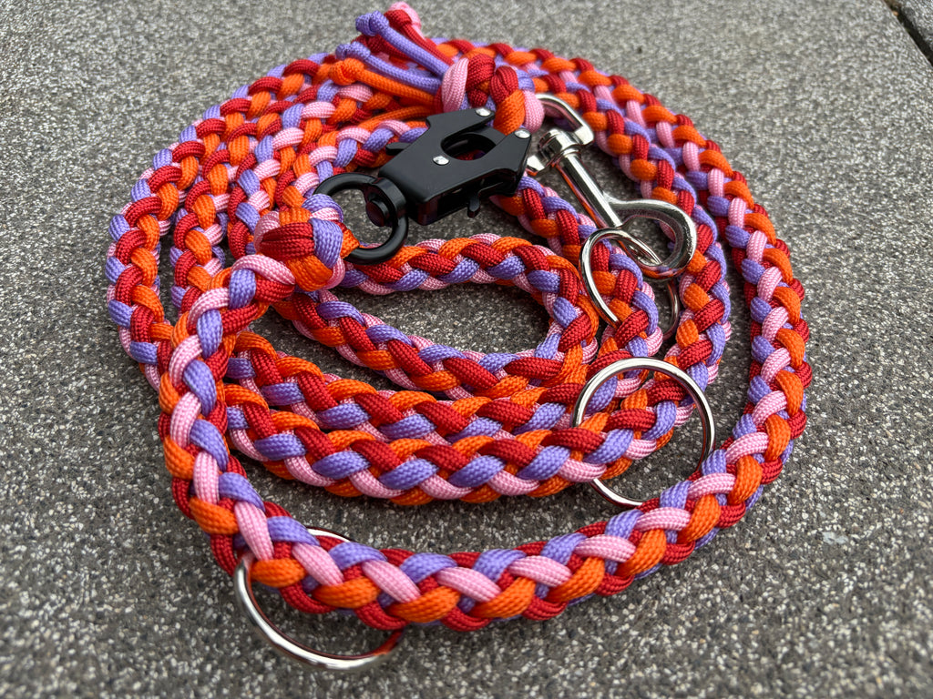 Paracord Leine - Sunset