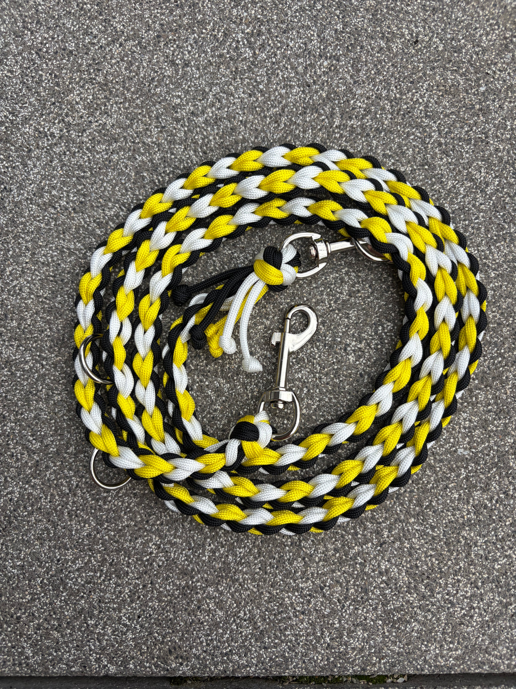 Paracord Leine - Tyson