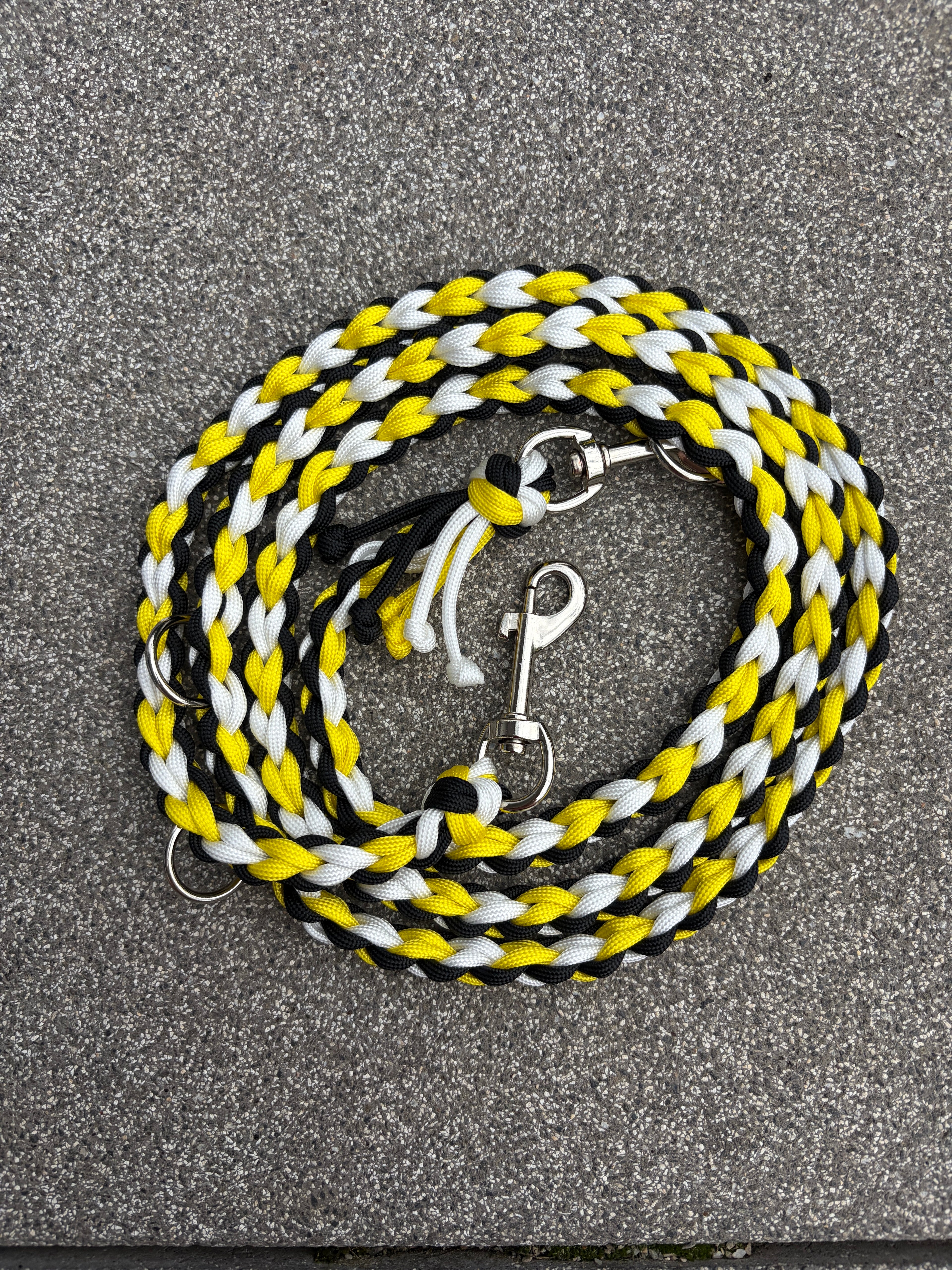 Paracord Leine - Tyson