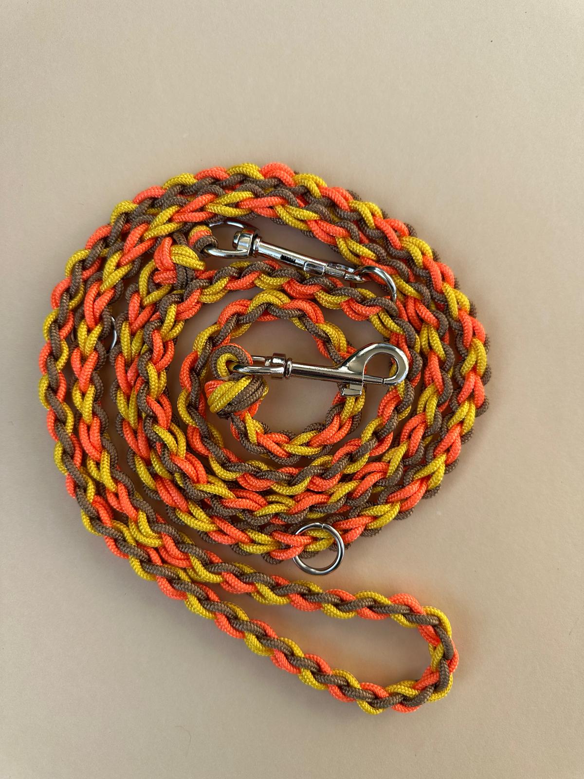 Paracord Leine - Autumn